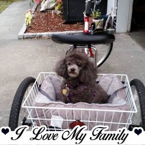 Meet your Posher, Alice